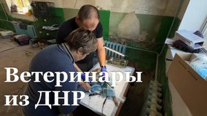В Первомайск приехала мобильная ветклиника из ДНР