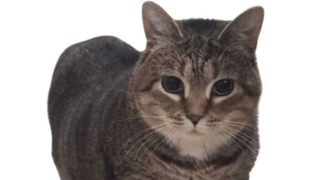 Играю в скайварс и рассказываю что со мной было. смотреть онлайн