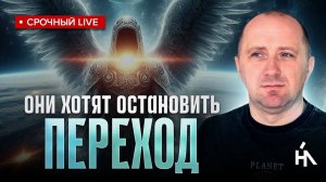 ГЛАВНОЕ ПРОРОЧЕСТВО АНГЕЛОВ НА КОНЕЦ ГОДА. Тёмные изменят это навсегда!  Михаил Агеев