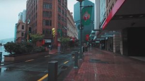 🇳🇿 Веллингтон, Новая Зеландия – тихое новогоднее утро в центральном деловом районе / 2025