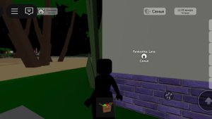 пранкую подругу в брукхейван