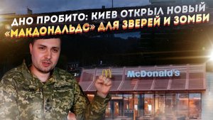 Получи, Москва! В темном Киеве заработал «Макдональдс» для обезьян!