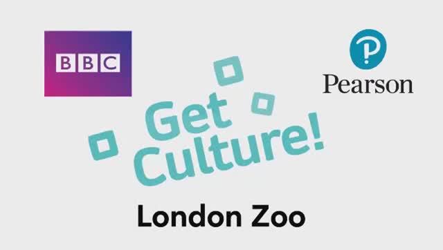 Go getter 1 p.93 BBC Culture London Zoo смотреть онлайн