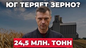Кризис экспорта? Как засуха сказывается на экспорте зерна и ценах на хлеб