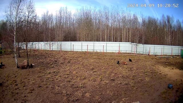 Выгул апрель 2024 смотреть онлайн