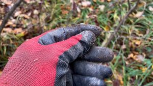 Коп в лесу с Garrett vortex. Нашел рарик почти