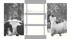 Ephemerid - Lyonesse