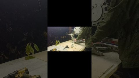 1000044107.mp4