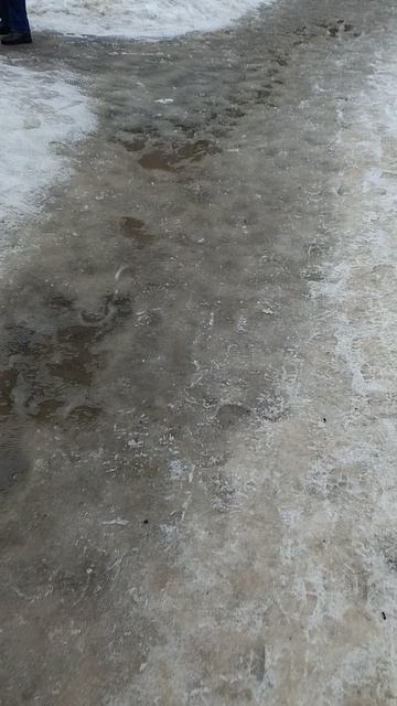 №233. ул. Газеты Звезда. 13 марта 2025 г., 10:03:16. VID_20250313_100034126