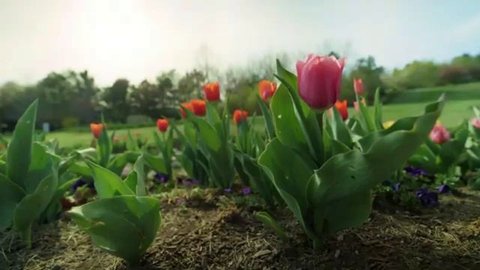 Сборник женских песен, красивые женские песни, нежные песни женщин, добрые песни