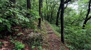 Гора города Пусан