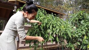 Куриные Проблемы  Выкапываю Тонну Картошки 3 Блюда Из Капусты  Эгине