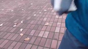 Обзор нового хот вилса