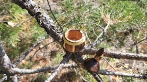 Шкатулка среди сосен и берез