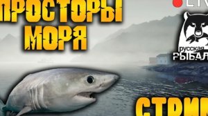 Русская рыбалка 4