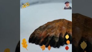 Осенний лист