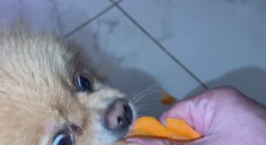 И под вечер у нас полезные вкусняшки.