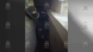 В Новгородской области осуждены организатор и участники незаконных азартных игр