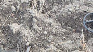 Полевой коп. Удивительные находки.