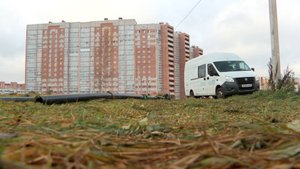 Новые сети в Зашекснинском