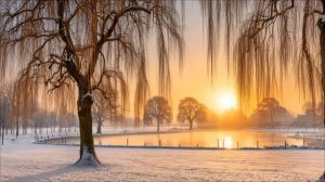 Vasilii CECEGOV - Зимний лес ( женский вокал)