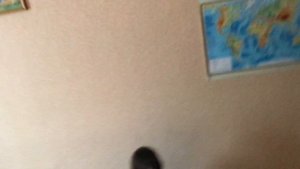 Смешные видео 3