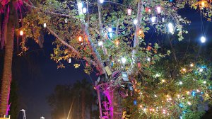 Внезапная Анталия. Ч.8. Бродим по Калеичи. Ночь.