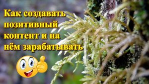 Как создать позитивный контент и на нём заработать.