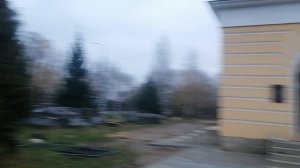 27.10.2025.16:30 Усадьба Парк Кино Ляхово. Парк Сибирских Кошек.Визитная карточка. Домодедово.Москов