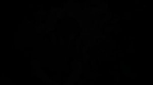 Это — на Новый год!