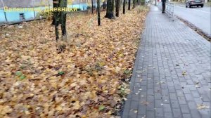 26.10 2025 Эпизоды дня. Утренний чай. Фикс Прайс, обзор полочек и покупок. Набережная.