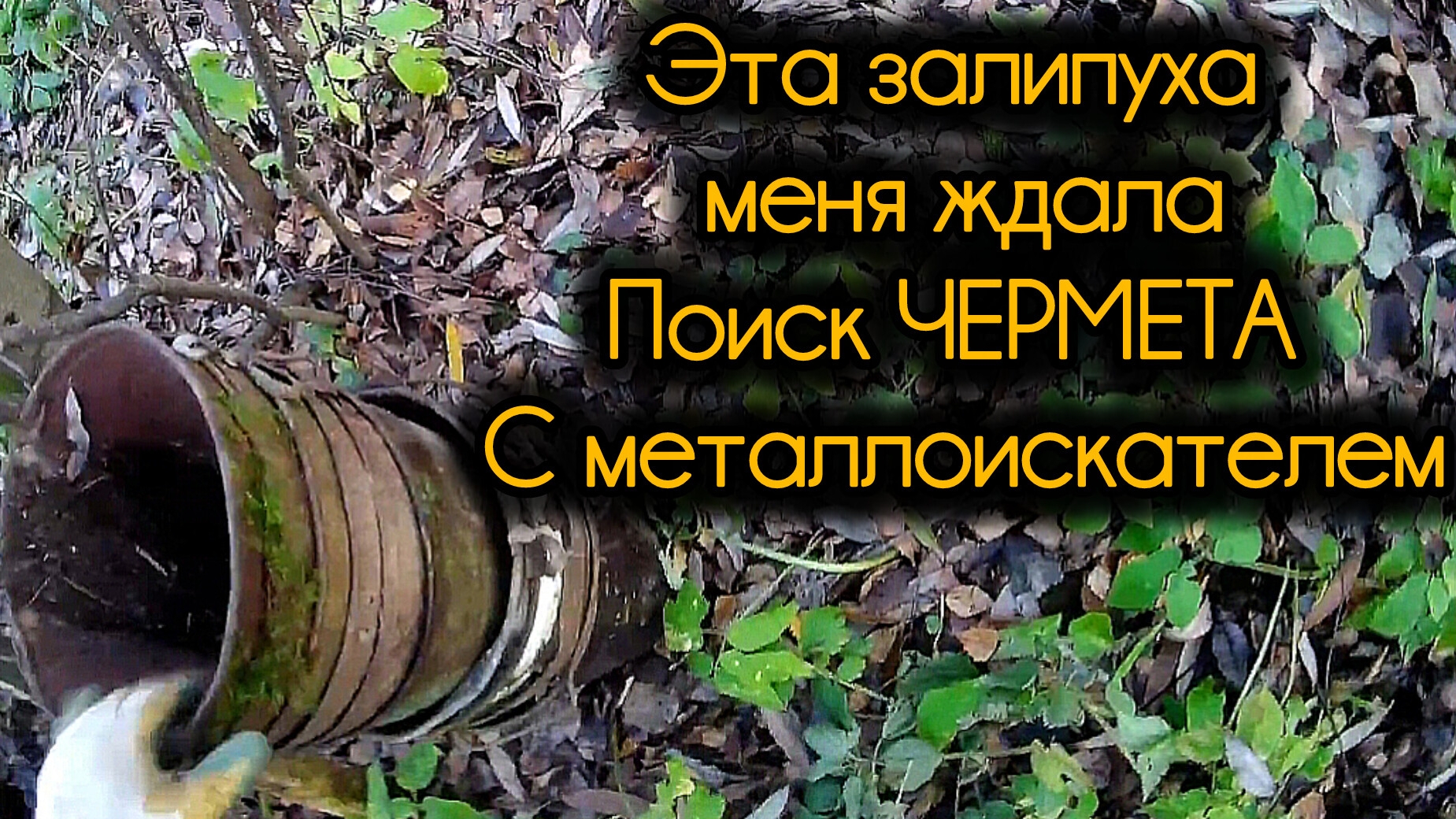 Залипуха из ЧЕРМЕТА: Поиск металла с металлоискателем смотреть онлайн