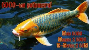 Русская рыбалка 4. Evia 6000 vs Tagara2 6000 vs Z-Series2 60S