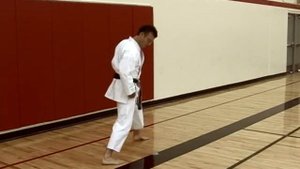 Basic Karate Kicks - Maegeri