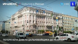 Потеря кота довела дальнобойщика до развода