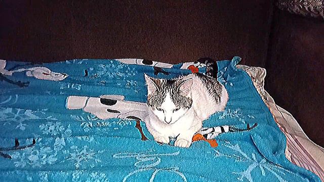 моё видео смотреть онлайн