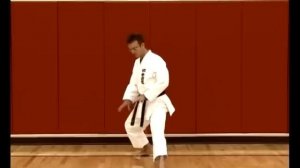 Basic Karate Stances