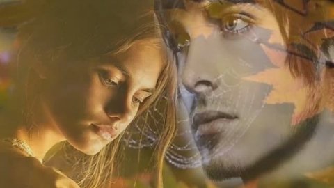 "НЕ ЖАЛЕЮ, МИЛЫЙ" Любовь Пузикова - музыка, слова и видеомонтаж, исполняет Ольга Кохан-Гольченко