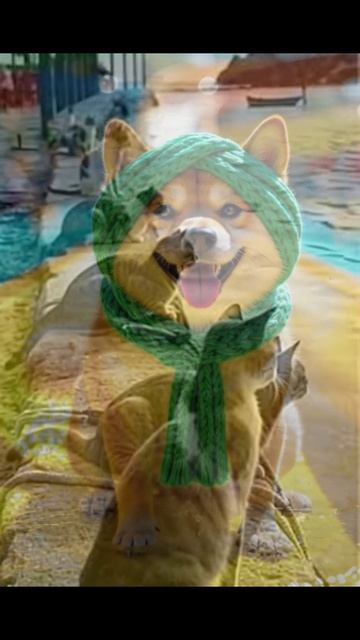 Вот как отдыхают настоящие друзья   https://online.tuzir.ru/payCPA?gcpc=a3705  #ai  #нейросети