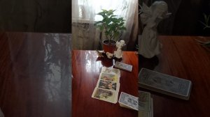 Таро.Кто и о чём жалеет.