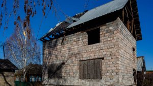 Абагур лесной