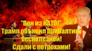 Вон из НАТО! Трамп объявил Прибалтику бесполезной! Сдали с потрохами!