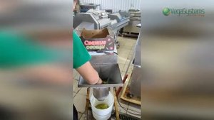 Машина для измельчения овощей и фруктов перетирания Vega Garlic Grinder 800 Измельчение