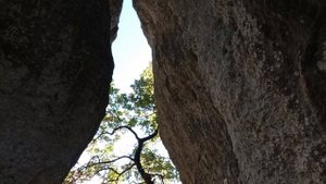 Каралезские сфинксы. 25.10.25.