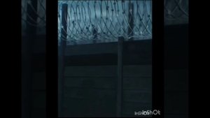 федерация защиты предпринимателей, реклама в интернете