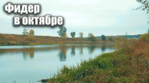 Фидер на реке  Дон осенью. Рыбец, плотва