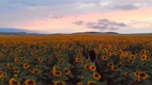 ﹤﹥Мама папа будьте снами всегда﹤﹥∆^8