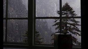 Шум дождя. Звуки дождя. Релакс на 3 часа.