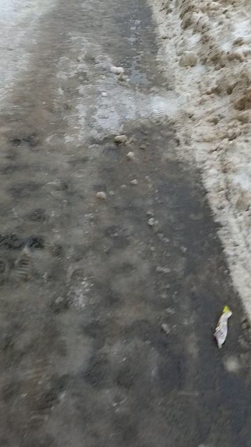 №238. ул. Полины Осипенко. 13 марта 2025 г., 10:17:22. VID_20250313_101524043