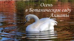 Ботанический сад Алматы. октябрь 2025.